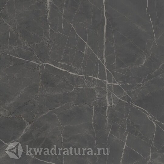 Керамогранит Kerama Marazzi Буонарроти серый тёмный SG642900R 60*60 см