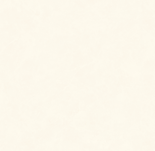 Керамогранит Diamond Ceramics бежевый матовый 60*60 см X66B17
