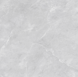 Керамогранит Diamond Ceramics серый матовый 60*60 см X66B21