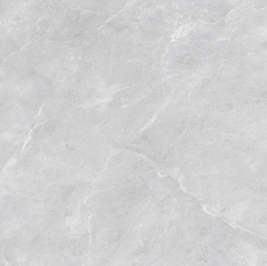 Керамогранит Diamond Ceramics серый матовый 60*60 см X66B21