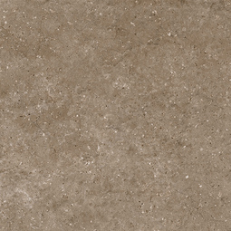 Керамогранит Гранитея G214 Arkaim Brown матовый 60*60 см
