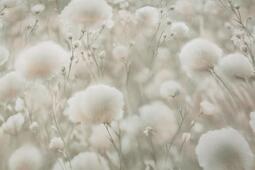 Обои флизелиновые Палитра 1.06 м PL72543-72