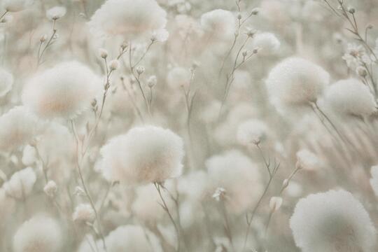 Обои флизелиновые Палитра 1.06 м PL72543-72